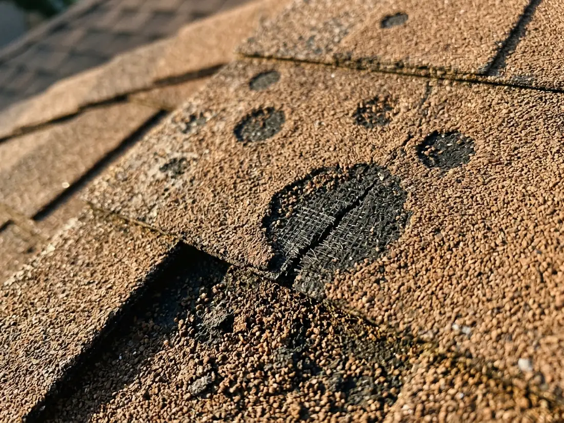 Close-up of a weathered brown asphalt shingle with several dark round spots where hail knocked the granules off and the mat underneath is split